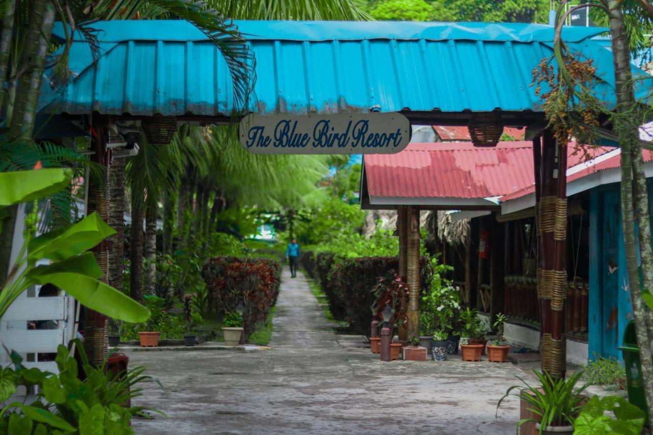 Blue Bird Resort Vijay Nagar Beach Екстериор снимка